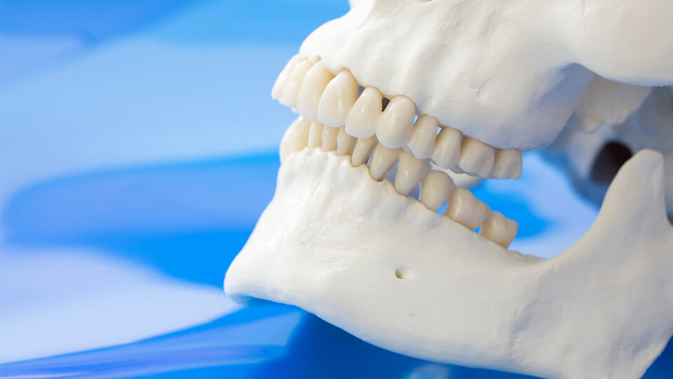 OLZE Fachartikel Knochenaufbau 01